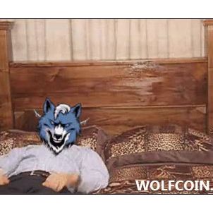 WOLFCOIN : It's hunting time!!