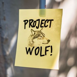 Post it!! PROJECT WOLF!!