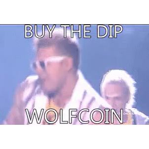 Let's buy the dip WOLFCOIN