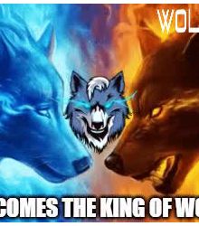 Here comes the king of wolves. "WOLFCOIN"