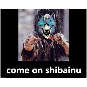 SHIBAINU  (VS)  WOLF 'WOLFCOIN'