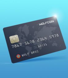 전세계에서 사용가능한 울프코인 결제카드 WOLFCOIN CARDS CAN BE ACCEPTED WORLDWIDE