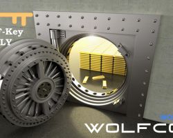 WOLF-Key ONLY (WOLFCOIN BANK)