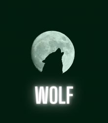 WOLFCOIN&WOLF
