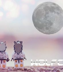 TO the Moon!! WOLFCOIN!!