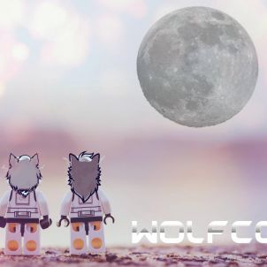TO the Moon!! WOLFCOIN!!
