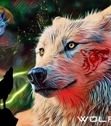 Real WOLF World : WOLFCOIN