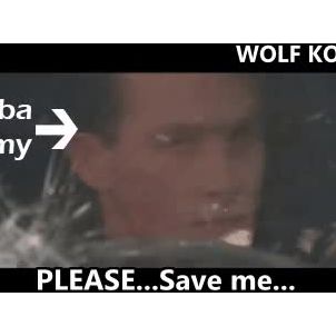 WOLFCOIN : Don't runaway Shiba army, lol