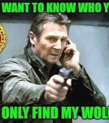 I WILL ONLY FIND MY WOLFCOIN - Liam Neeson
