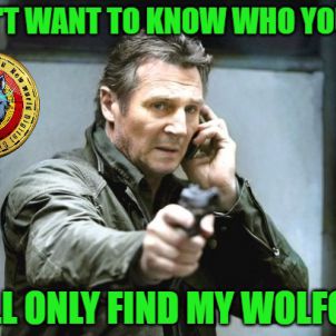 I WILL ONLY FIND MY WOLFCOIN - Liam Neeson