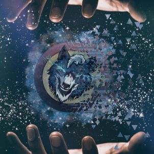 Self trust is the first secret of success. If you're determined to be with WOLFCOIN, believe in it.