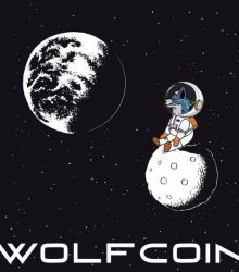 The WOLFCOIN look at the earth on the moon