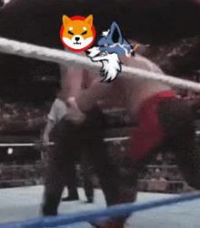 WOLFCOIN : It's your Dooms day Shiba!!