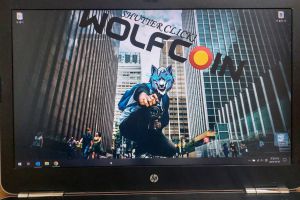 WOLF exists in the real world. WOLFCOIN