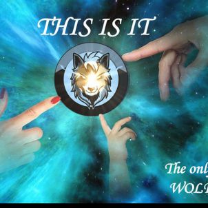 THIS IS IT : The only COIN WOLFCOIN