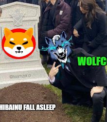 shibainu fall asleep - WOLFCOIN - WOLFKOREA