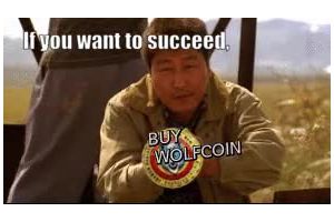 If you want to succeed, buy Wolfcoin