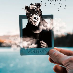 Constantly picture a successful future with WOLFCOIN. It's up to your mindset that dreams become reality.