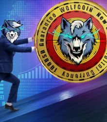 Wolfcoin 1920X Teddy Wolf Steady in Investment
