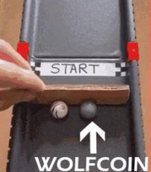 WOLFCOIN : Never..never give up