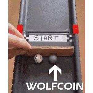 WOLFCOIN : Never..never give up