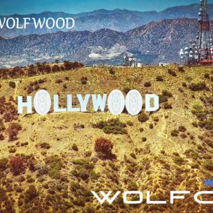 HOLLY WOLF WOOD : WOLFCOIN