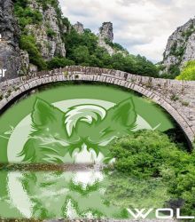 Like a bridge  of  troubled water : WOLFCOIN