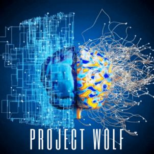 PROJECT WOLF OPERATIONG NORMALLY. BUY&HOLD. WOLFCOIN.