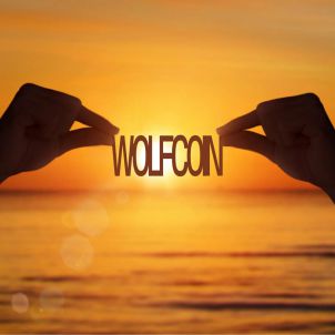From a faint glow in the dark, Wolfcoin is now shining brightly enough to illuminate its surroundings. The year of Wolfcoin will soon be upon us.