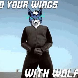 WOLFCOIN makes me fly