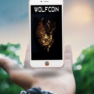 Napoleon once said, "Victory belongs to the most persistent". The determination and persistence of our Wolf brothers is beyond compare. In the end, we will be the last ones STANDING.(WOLFCOIN MEME)
