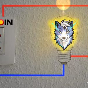 HOLD IT : WOLFCOIN