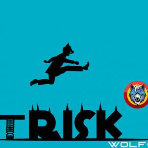 THE RISK IS NOTHING TO WOLF BROTHERS : WOLFCOIN