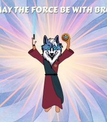 May the Force be with Bro, Wolfcoin ex1