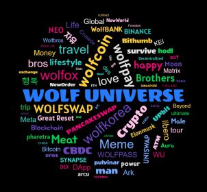 WOLF Universe의 시작