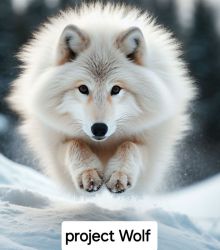 project Wolf 울프는 깨끗한 글로벌 기업이다~!