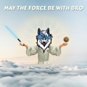 May the Force be with Bro, Wolfcoin ex2
