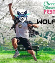 Cherry blossom festival with WOLFCOIN