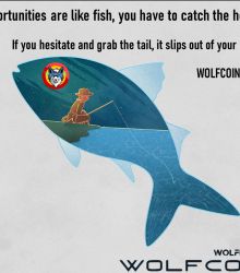 Catch the Opportunity : WOLFCOIN