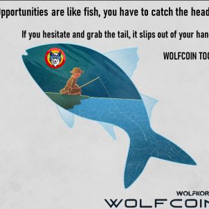 Catch the Opportunity : WOLFCOIN
