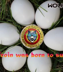 Wolfcoin was born to succeed!!