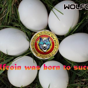 Wolfcoin was born to succeed!!