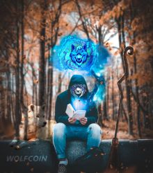 WOLFCOIN is magic.