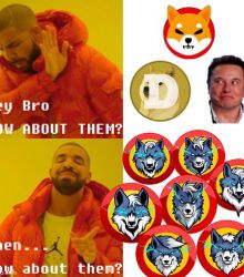 Hey Bro! How about the WOLFCOIN?