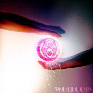 I am not worried about the future. Because I have WOLFCOIN.