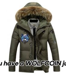 Do you have a WOLFCOIN jumper?