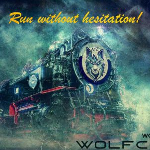 Run without hesitation! : WOLFCOIN