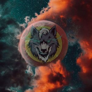 Magnificent achievements are always preceded by pain. You must endure the pain now to ensure the success of WOLFCOIN.