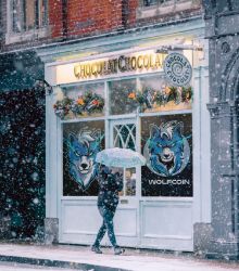 WOLFCOIN SHOP IN THIS WINTER
