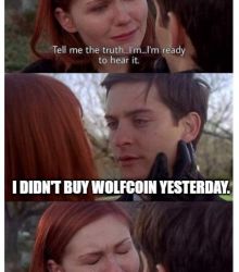 SPIDERMAN A BIG MISTAKE 'WOLFCOIN'